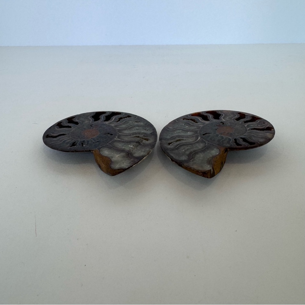 Large Matching Pair of Iridescent Polished Ammonite Fossils from Morocco - Picture 11 of 16